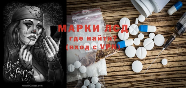 дмт Сатка