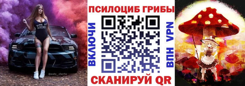 Псилоцибиновые грибы Cubensis  блэк спрут tor  Алексеевка 