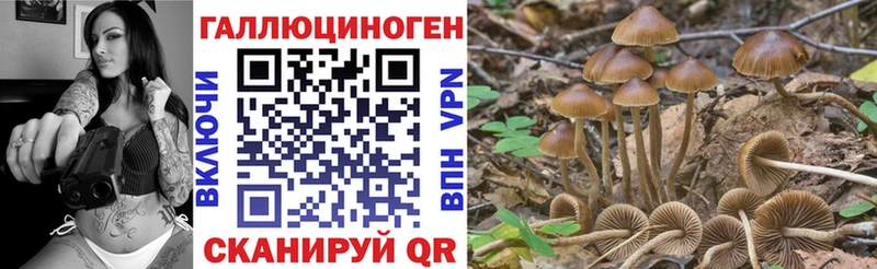Галлюциногенные грибы ЛСД Алексеевка