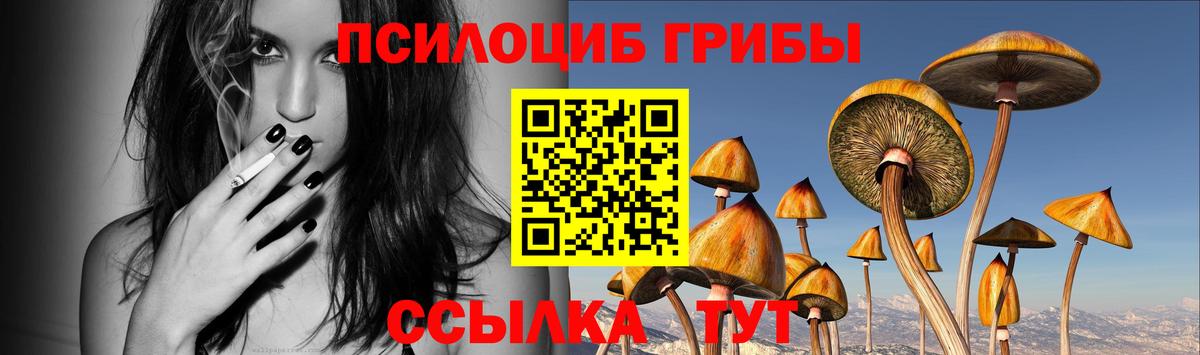 Псилоцибиновые грибы мицелий Алексеевка